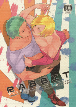 (C90) [Kyozoya (Kunoichi)] RABBIT (One Piece) - page 1