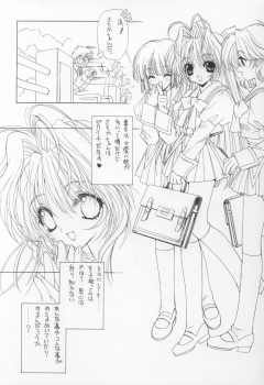 (C60) [Senzankou (Ramiya Ryou)] Kindan no Jogakuin - page 11