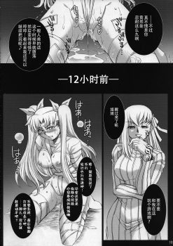 (COMIC1☆2) [H.B (B-RIVER)] Red Degeneration -DAY/3- (Fate/stay night) [Chinese] [不咕鸟汉化组] - page 9