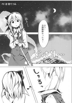(C81) [100Yenmofa, Ushitora-dou (Mirino, Ushitora Tatsumi)] Marisa to Youmu no Yukemuri Ecchi (Touhou Project) - page 4