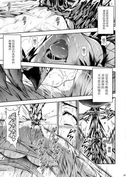 (C91) [Yokohama Junky (Makari Tohru)] Pair Hunter no Seitai Vol. 2-2 (Monster Hunter) [Chinese] [屏幕髒了漢化] - page 26