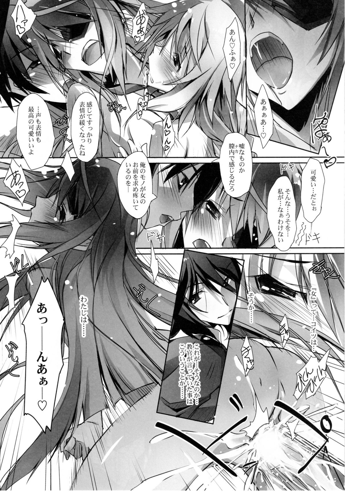 (COMIC1☆5) [RYU-SEKI-DO (Nagare Hyo-go)] LS Lovers Striker II (IS <Infinite Stratos>) page 22 full