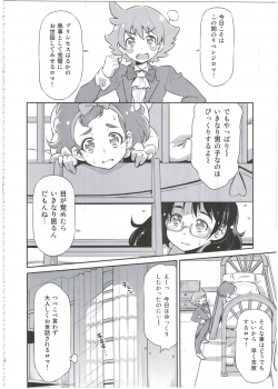 (C88) [ACID EATERS (Kazuma Muramasa)] Shitsuji no Oshigoto (Go! Princess PreCure) - page 6