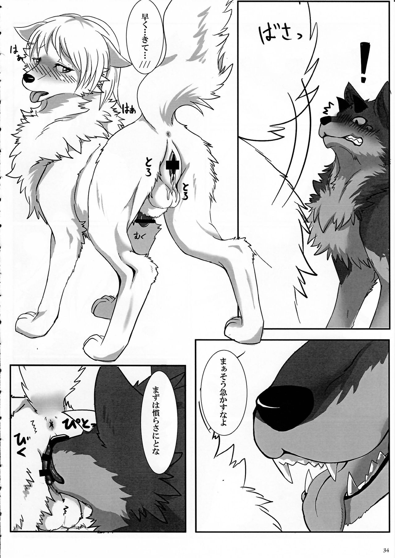 (Kansai! Kemoket 3) [KTQ48 (Various)] KTQ 7 page 34 full