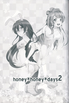 (C90) [Fukurou no Yuubinya san (Ueto Ruri)] honey*honey*days2 (Love Live!) [Chinese] [古早个人汉化] - page 4