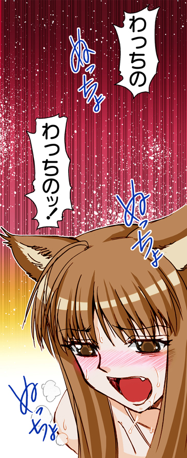 (SC38) [Raijinkai (Harukigenia)] Wolf Road (Ookami to Koushinryou [Spice and Wolf]) [Colorized] page 39 full