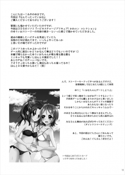 (C88) [Rope Island (Miyanoyuki)] Nantettatte Iona (HappinessCharge Precure!) - page 12