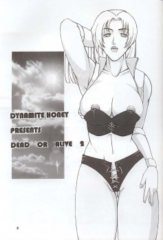 (C58) [Dynamite Honey (Gaigaitai)] Dynamite 6 DEAD OR ALIVE 2 (Dead or Alive) - page 2