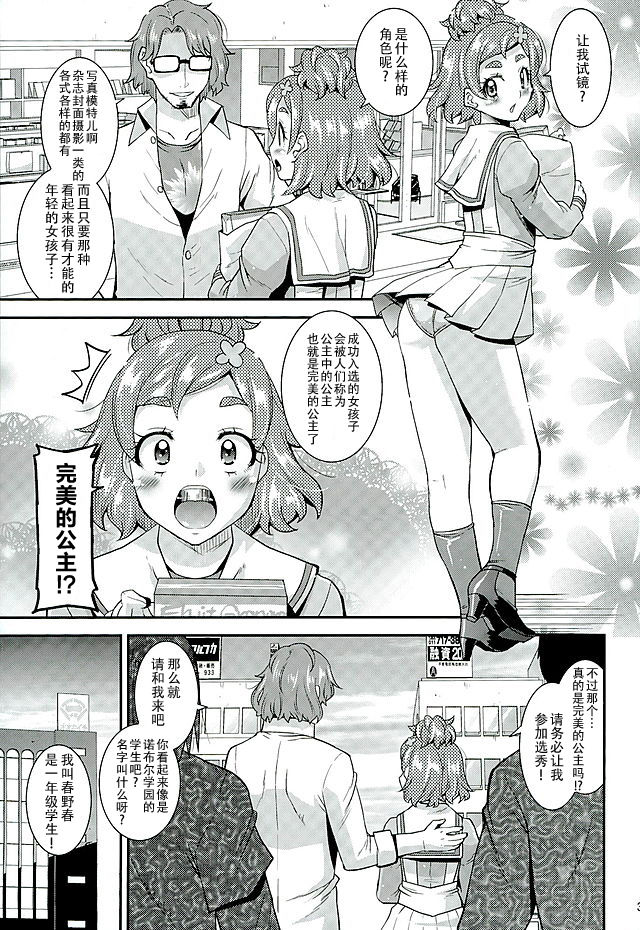 (C89) [gos to vi (Utamaro)] DEAD END PRINCESS (Go! Princess PreCure) [Chinese] [不咕鸟汉化组] page 2 full