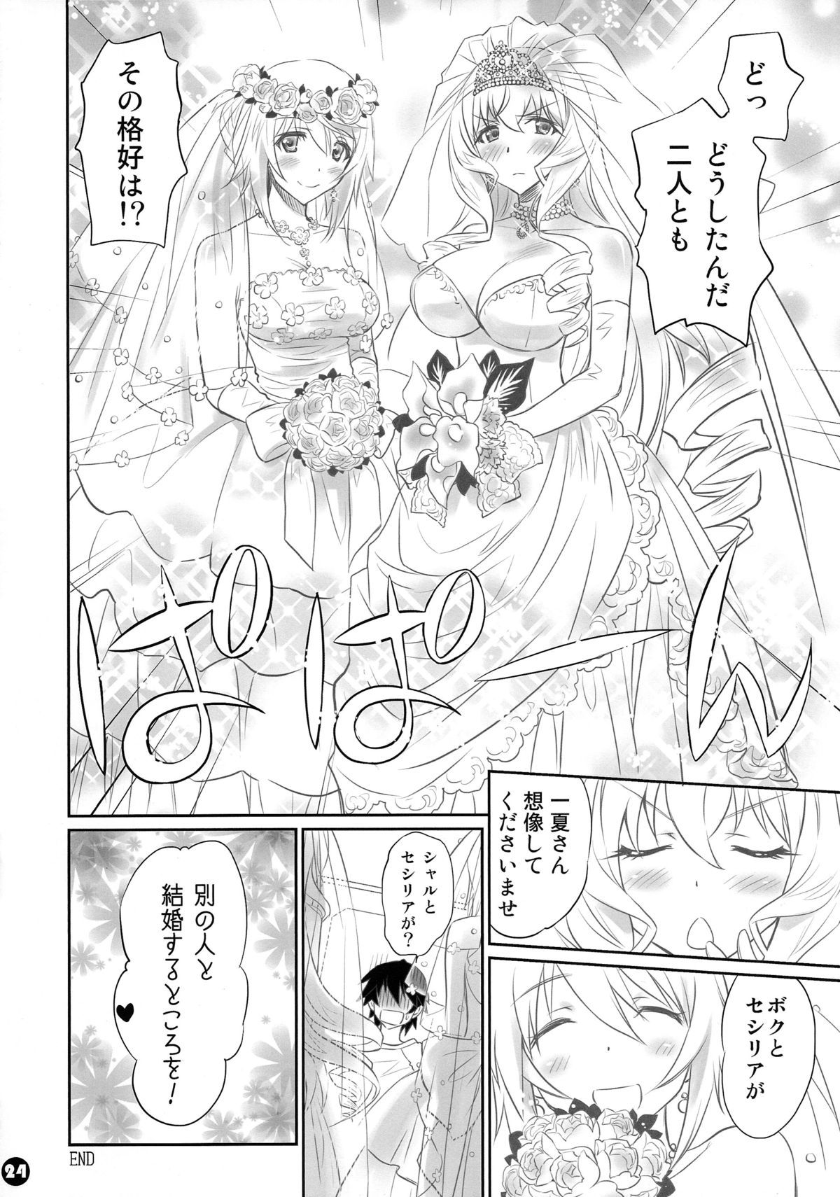 (COMIC1☆8) [Bloody Okojo (Mojyako, Caviar)] IMAGINE!!～Iikara Souzou Shite!!～ (Infinite Stratos) page 24 full