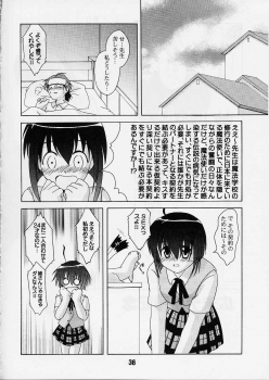 (C65) [Shinohara Heavy Industry (Various)] Negina. 2 (Mahou Sensei Negima!) - page 35