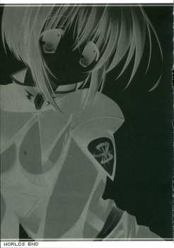 (C69) [A.L.C (Kannazuki Nem)] WORLDS END (Kidou Senshi Gundam Seed Destiny) - page 18