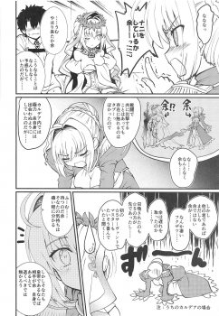 (C95) [ROHGUN_KYOH (Rohgun)] Nero+Nero! (Fate/Grand Order) - page 25
