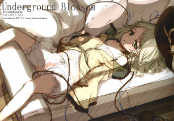 (C86) [Gekidoku Shoujo (ke-ta)] Underground Blossom (Touhou Project) - page 2