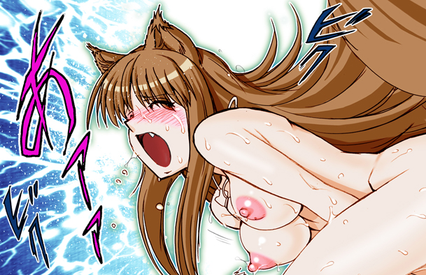 (SC38) [Raijinkai (Harukigenia)] Wolf Road (Ookami to Koushinryou [Spice and Wolf]) [Colorized] page 98 full