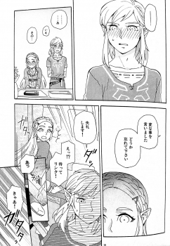 (ALL STAR 9) [CURSOR (Satou)] Ashita no Watashi-tachi (The Legend of Zelda) - page 18