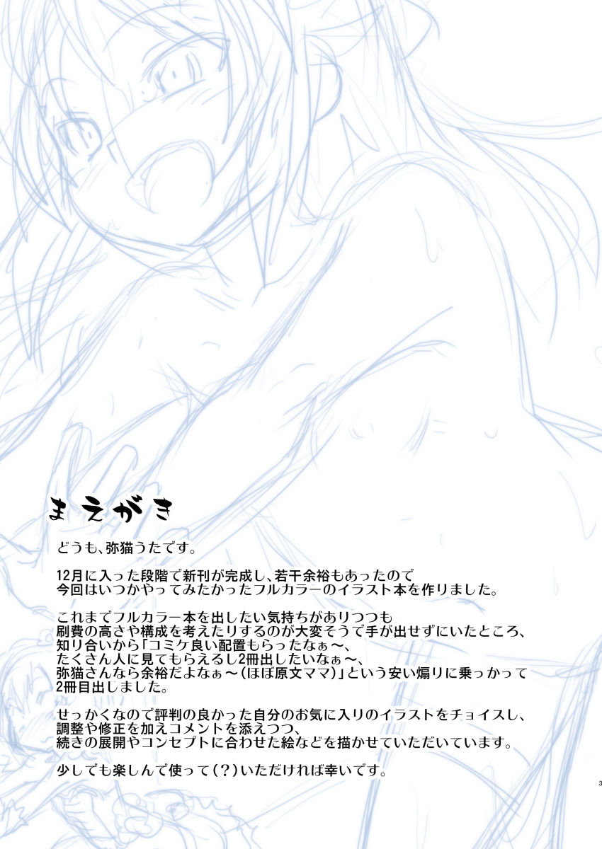 (C95) [ILD CAT (Yaneko Uta)] Yaneko no Rakugakichou vol. 0 (Various) page 3 full