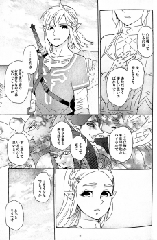 (ALL STAR 9) [CURSOR (Satou)] Ashita no Watashi-tachi (The Legend of Zelda) - page 10