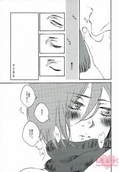 (SUPERKansai19) [QuintalLagosta (ebgr)] Kuro no Ookami Gin no Ookami (Shingeki no Kyojin) - page 10