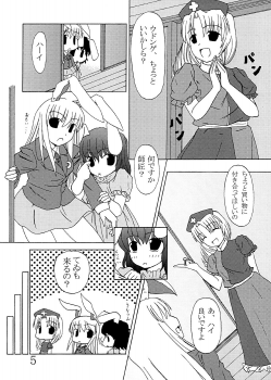 (C67) [Natsu no Umi (Natsumi Akira)] Mago nimo Ishou (Touhou Project) - page 4