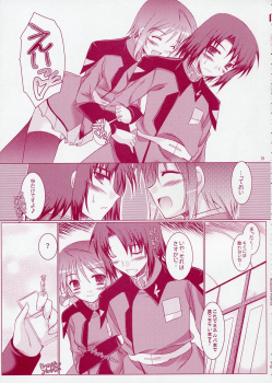 (SC28) [Ponbikiya, Suirankaku (Ibuki Pon)] REDDISH PURPLE-02B (Gundam Seed Destiny) - page 18