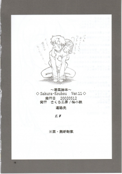 (CR31) [Sakura Koubou (Sakura Kotetsu)] Wakana Ehon (Sentimental Graffiti) - page 17