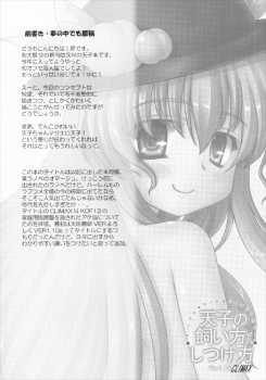 (Reitaisai 9) [Newtype Kenkyuujo (Kotowari)] Tenshi no Kaikata Shitsukekata CLIMAX (Touhou Project) - page 4