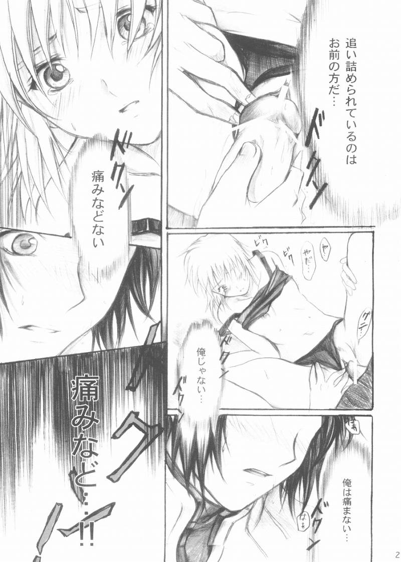 [Reongumi Kaeda Reon] Harete Koyoiha (Kidou Senshi Gundam SEED) page 19 full