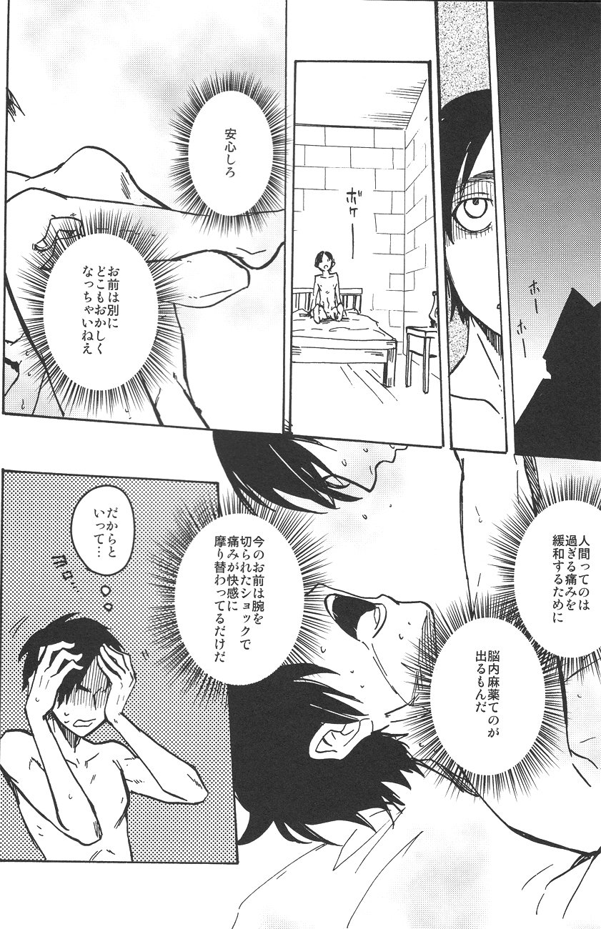 (FALL OF WALL2) [Senkan AA (Ahiru)] Kimi o Kowashi Tai (Shingeki no Kyojin) page 21 full