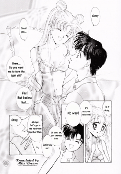 [PALE LILAC (Ohmori Madoka)] EARTH WIND (Sailor Moon) [English] {Miss Dream} - page 20