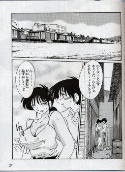 (C61) [Studio Sitomi (Tsuya Tsuya)] Hisae Haitoku Nikki Shiori no 2 - page 26