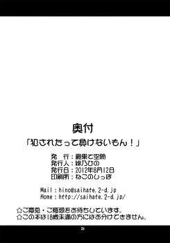 (C82) [Saihate-Kukan (Hino Hino)] Okasaretatte Makenaimon! (Smile Precure!) - page 25