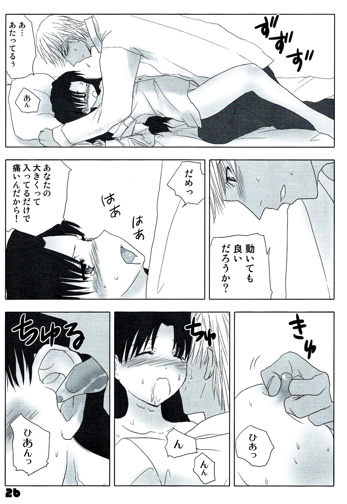 (C72) [Nitakaya (Ichifuji Nitaka)] Auto und AdleR (Fate/stay night) page 24 full