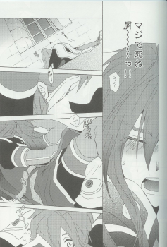 (C70) [PINK POWER (Mikuni Saho, Tatsuse Yumino)] PREDATION (Tales of the Abyss) - page 12