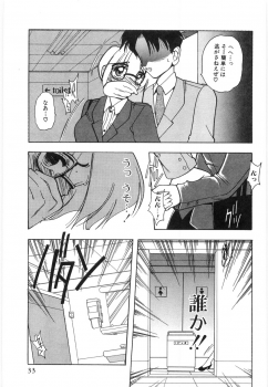 [Mizutani Mint] Koutaku Kyaku - page 35