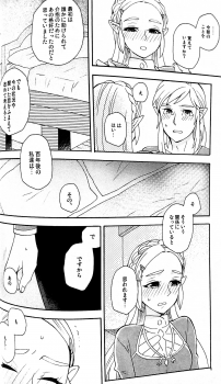 (ALL STAR 9) [CURSOR (Satou)] Ashita no Watashi-tachi (The Legend of Zelda) - page 27
