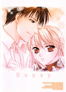 [Fairy Pink (Asano Akira)] Honey (Full Metal Alchemist) - page 24
