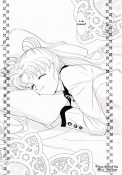 [PALE LILAC (Ohmori Madoka)] EARTH WIND (Sailor Moon) [English] {Miss Dream} - page 14