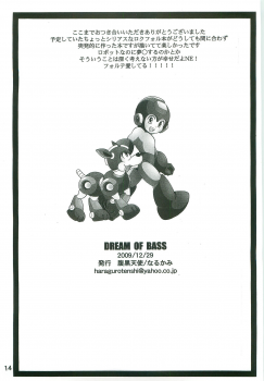 (C77) [Haraguro Tenshi (Narukami)] DREAM OF BASS (Rockman) - page 13