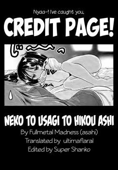 (C79) [FULLMETAL MADNESS (Asahi)] Neko to Usagi to Hikou Ashi (Strike Witches) [English] [ultimaflaral] - page 23