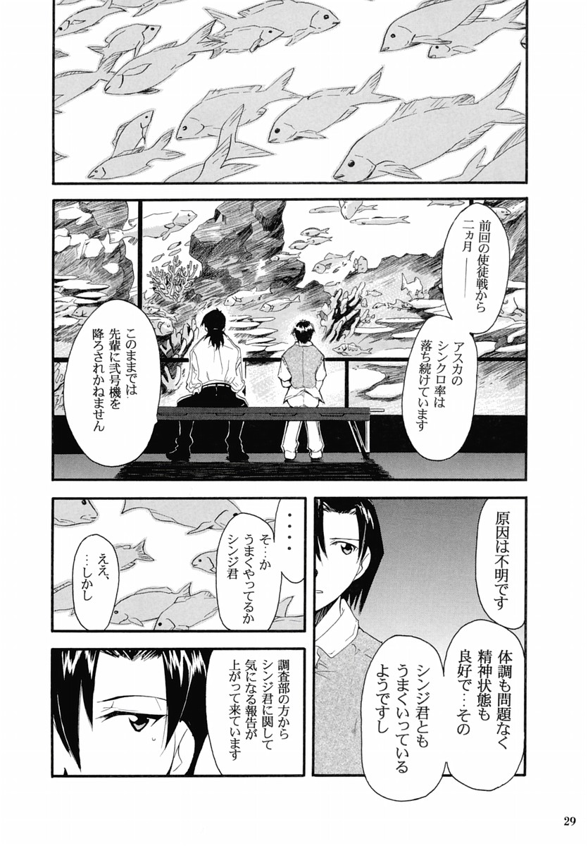 (C67) [Studio Kimigabuchi (Kimimaru)] RE-TAKE 2 (Neon Genesis Evangelion) page 28 full