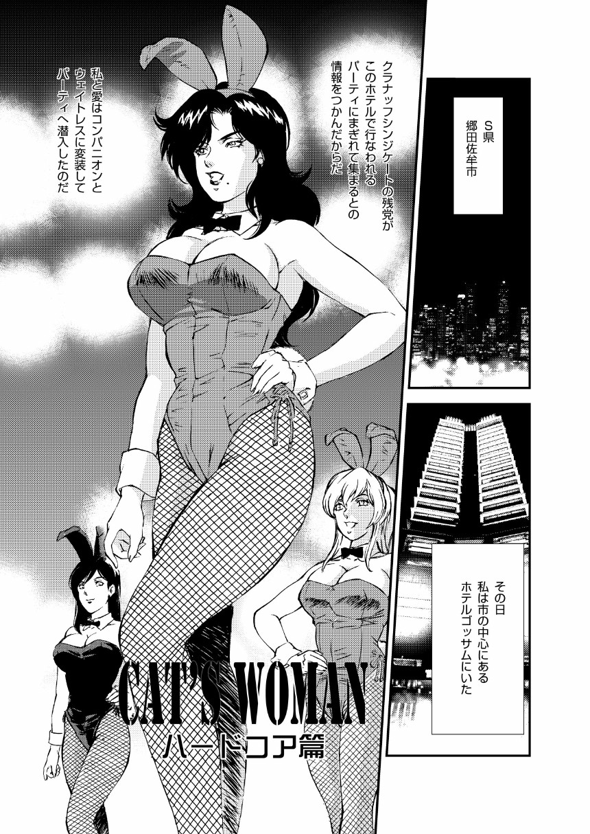 [Rippadou (Liveis Watanabe)] CAT’S WOMAN HARD CORE Hen (Batman, Cat's Eye) page 6 full