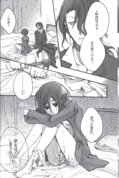 (C70) [Alkaloid (Tokitsukaze Otoha)] Beautiful Dreamer (Blood+) - page 14