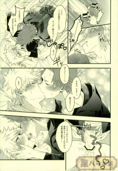 (C91) [BITE (Natsuo)] LOVE FOOL (Boku no Hero Academia) - page 18