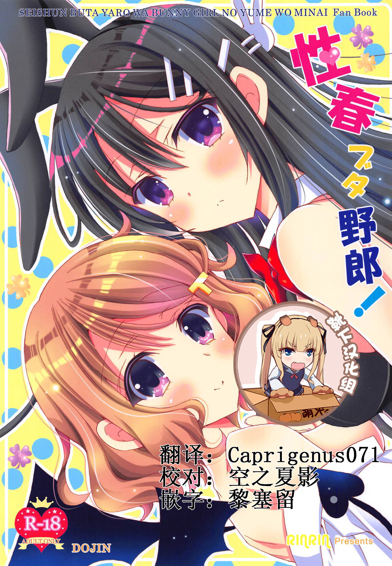 (C95) [RINRIN (RINRIN)] Seishun Buta Yarou! (Seishun Buta Yarou wa Bunny Girl Senpai no Yume o Minai) [Chinese] [靴下汉化组] page 1 full