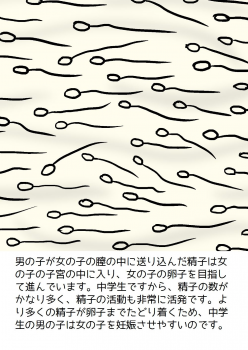 [poza] Shishunki no Otokonoko no Tame no Seikyouiku Onnanoko o Ninshin saseru Tame no Nakadashi Sex Nyuumon - page 30