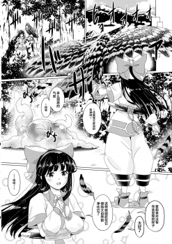 (C92) [Chill-Out (Fukami Naoyuki)] Kougyaku Ni Otsuru Miko (Samurai Spirits) [Chinese] [不咕鸟汉化组] - page 3