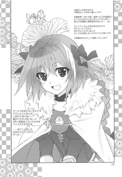 (C94) [PLUM (Kanna)] Gepparou GO Vol. 3 (Fate/Grand Order) - page 12