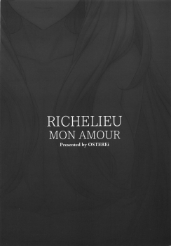 (C95) [OSTEREi] RICHELIEU MON AMOUR (Kantai Collection -KanColle-) - page 25