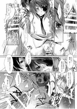 (COMIC1☆5) [RYU-SEKI-DO (Nagare Hyo-go)] LS Lovers Striker II (IS <Infinite Stratos>) - page 19